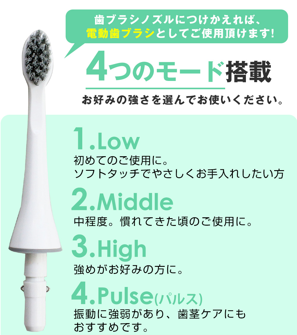 口腔洗浄器 歯垢除去 口内洗浄機 歯茎ケア 2way 2in1 タンクレス 口腔