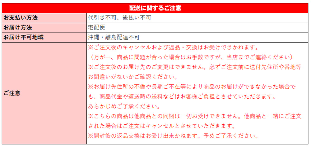 【直送】電磁波99%カット 一人用電熱マット（タイマー付）