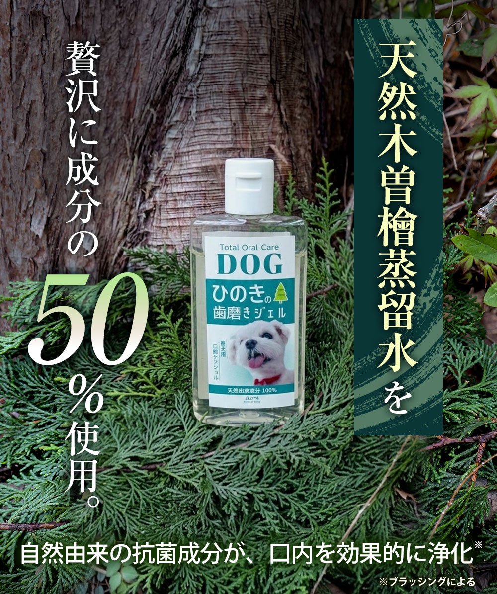 歯磨きジェル〈50g〉