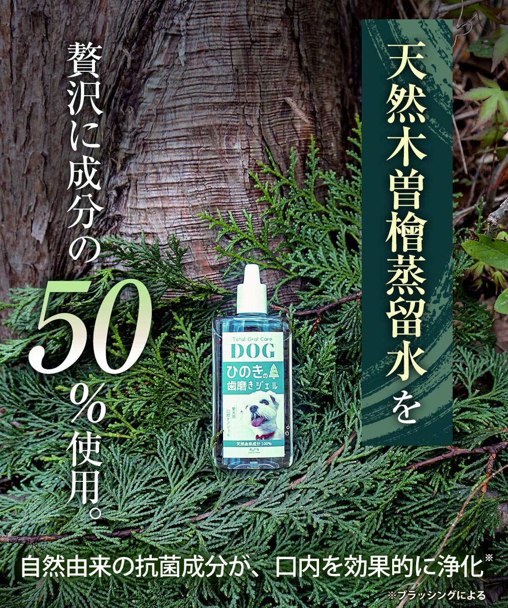 歯磨きジェル〈50g〉