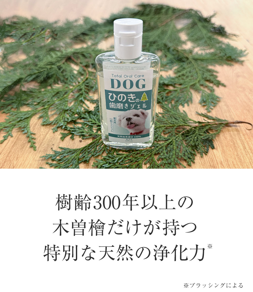 歯磨きジェル〈50g〉