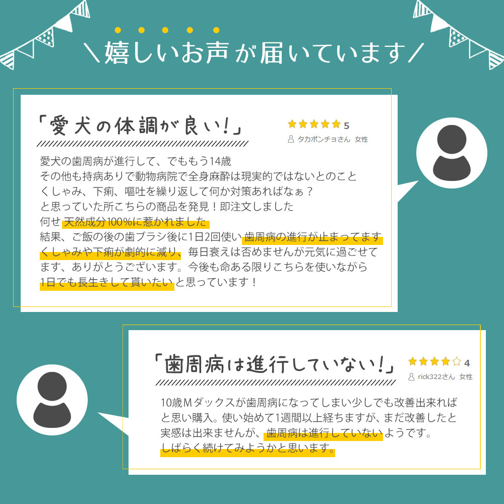 歯磨きジェル〈50g〉