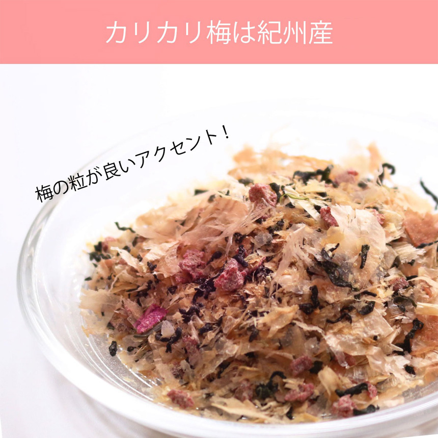 体にやさしいだしふりかけ うめ風味【4袋組】