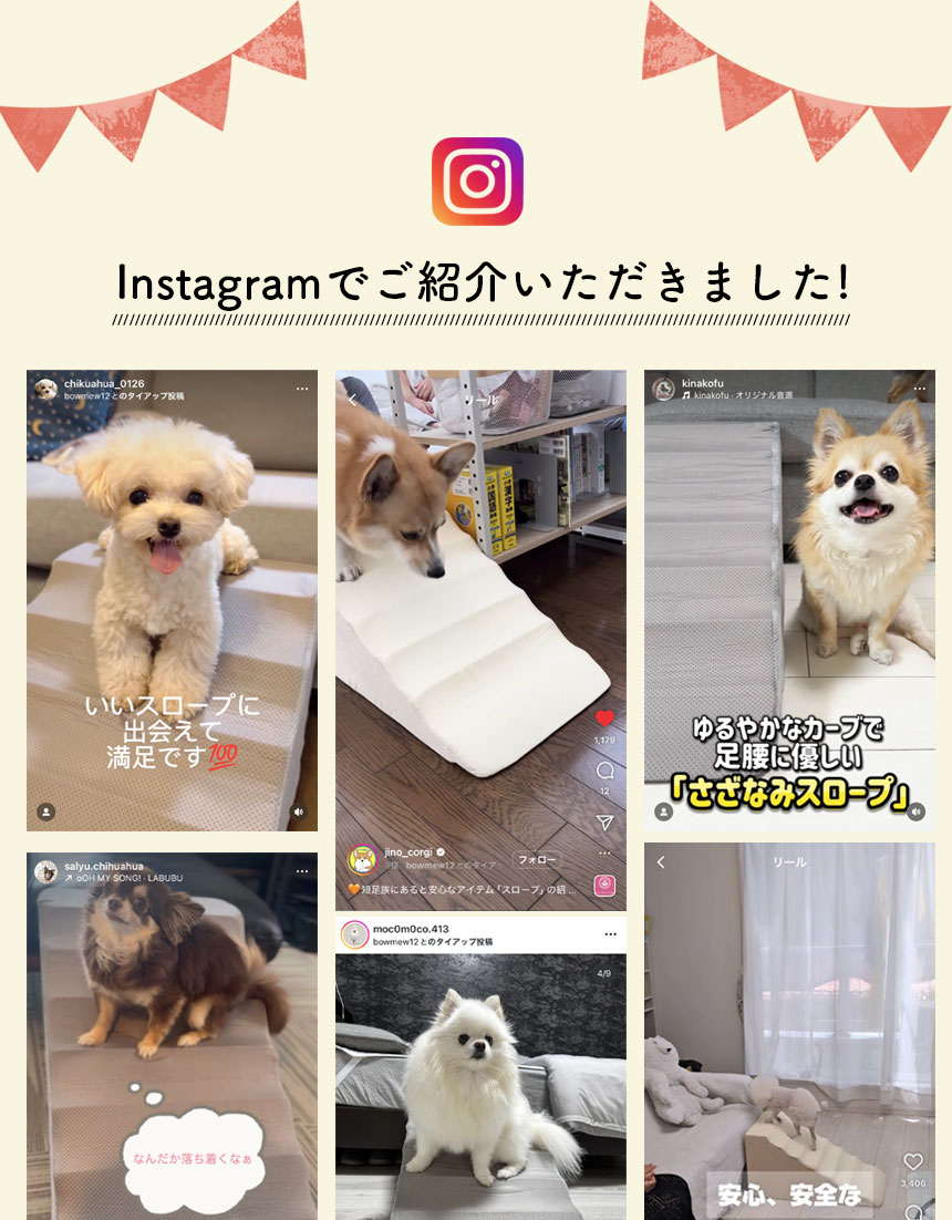 さざなみペットスロープ