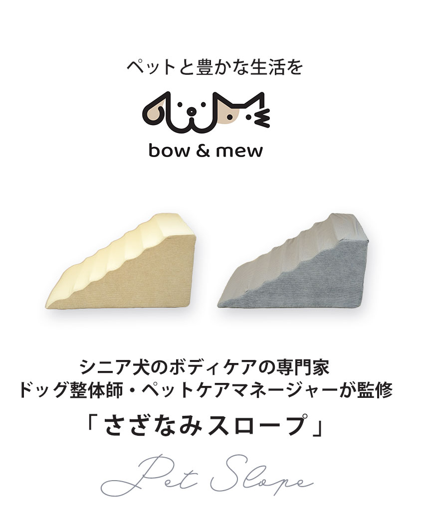  スロープ＋専用カバー