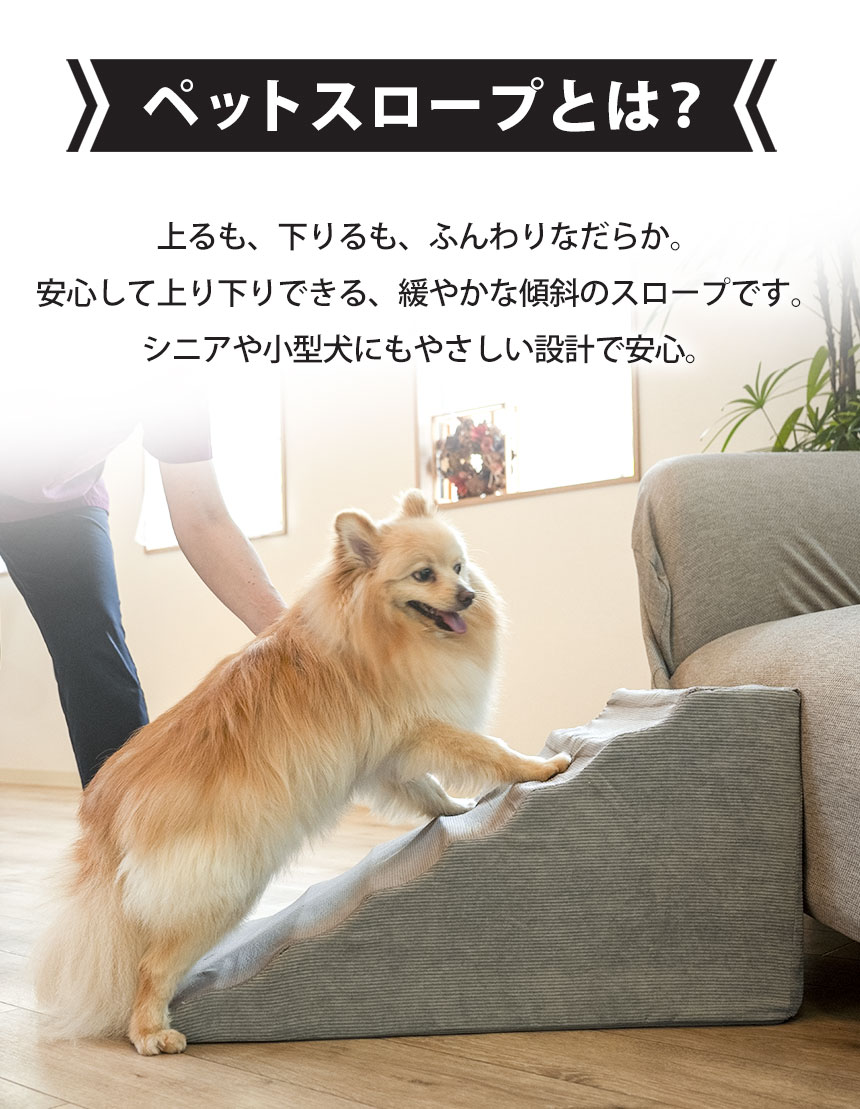  スロープ＋専用カバー