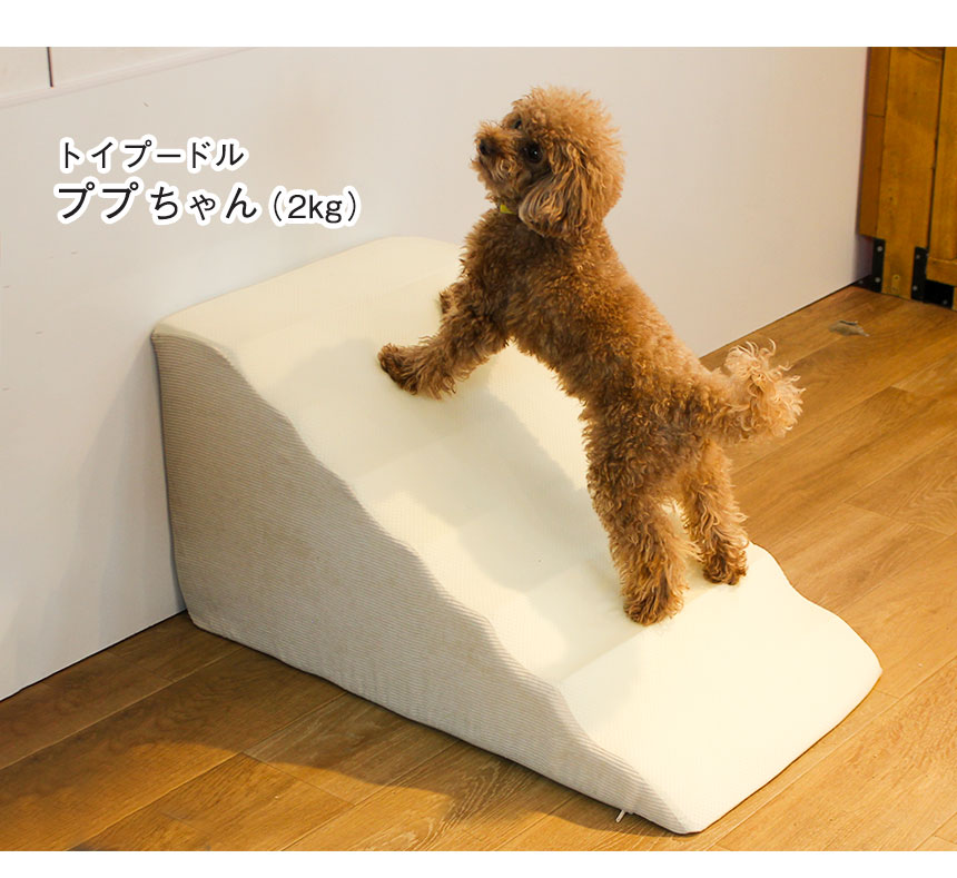  スロープ＋専用カバー