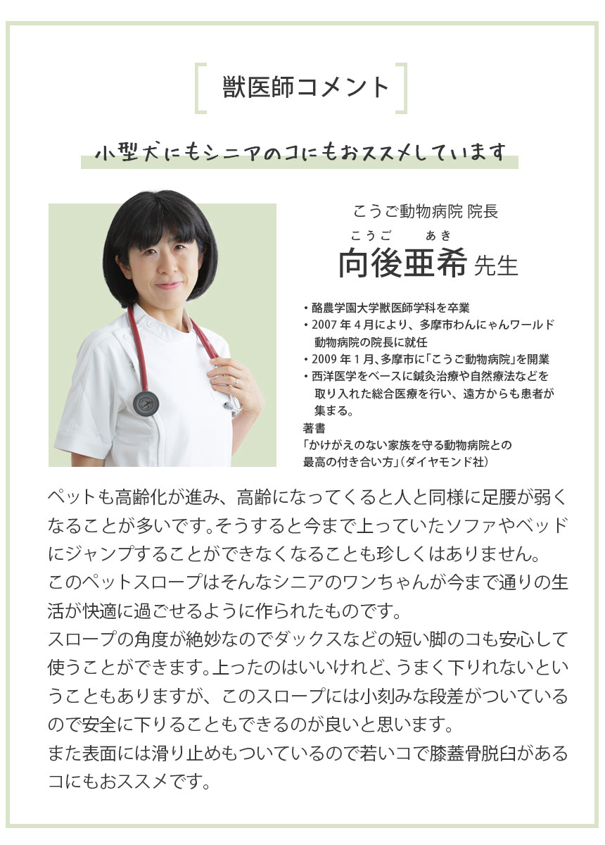  スロープ＋専用カバー