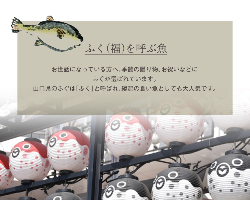 ふぐ薄焼き