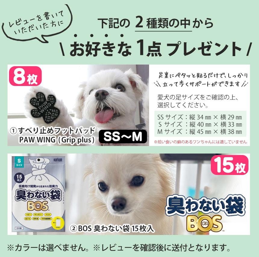 ショルダーリード