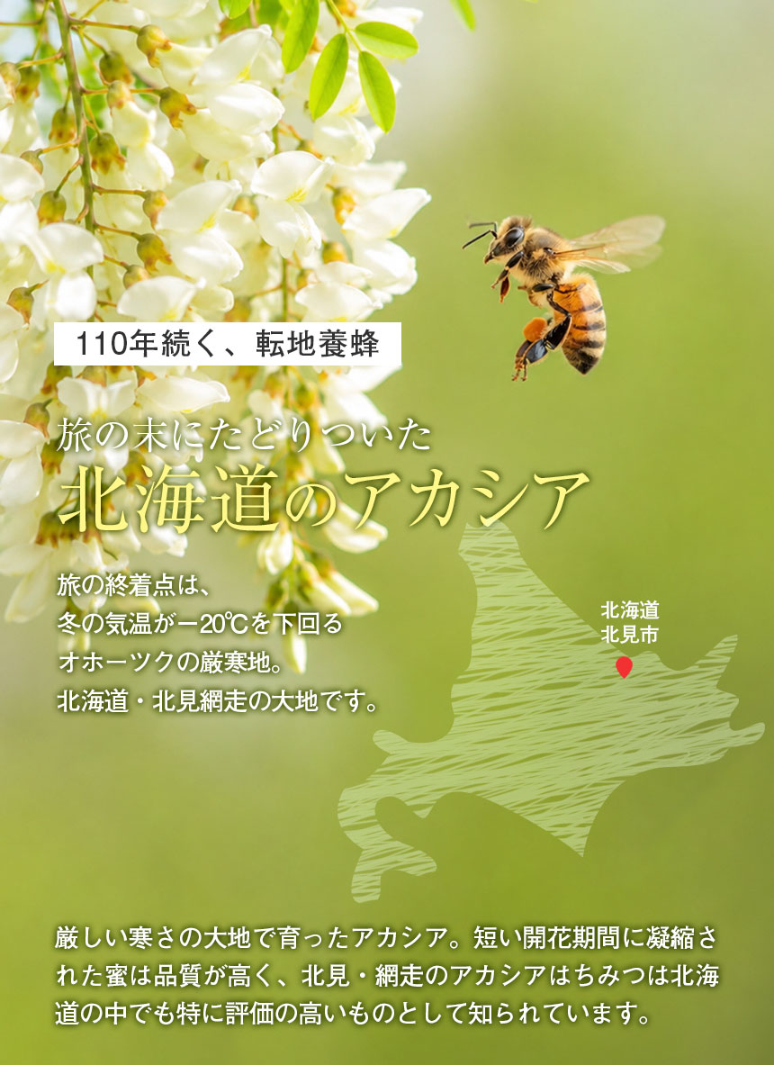 純粋アカシアはちみつ