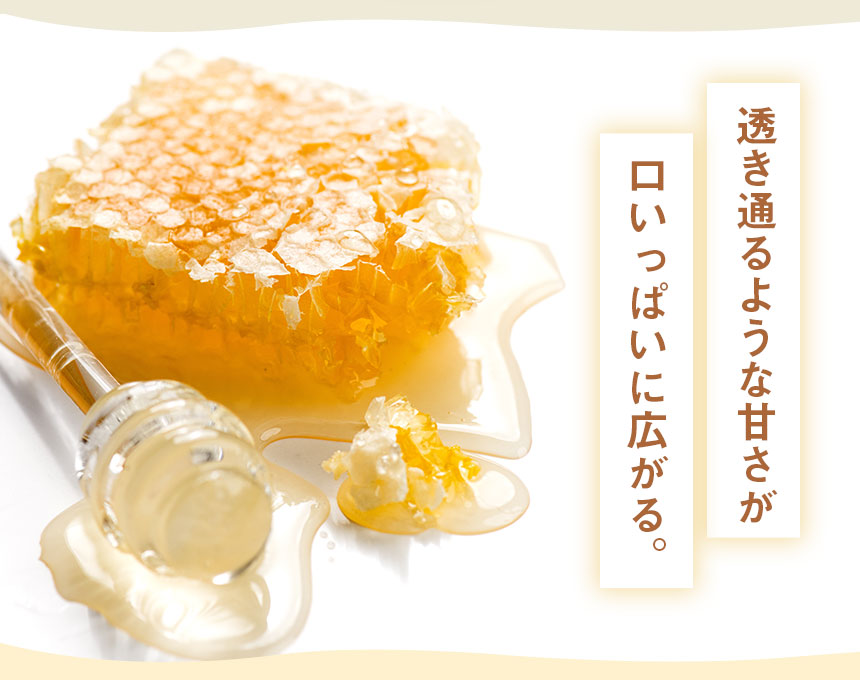 純粋アカシアはちみつ