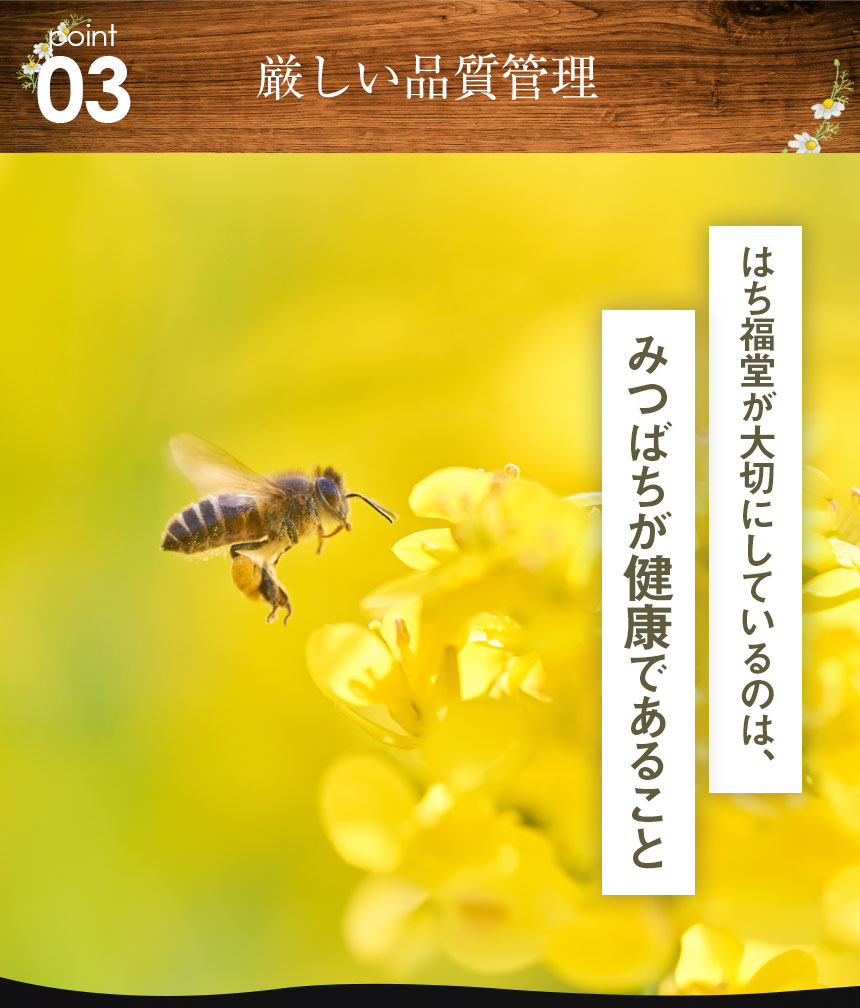 純粋アカシアはちみつ