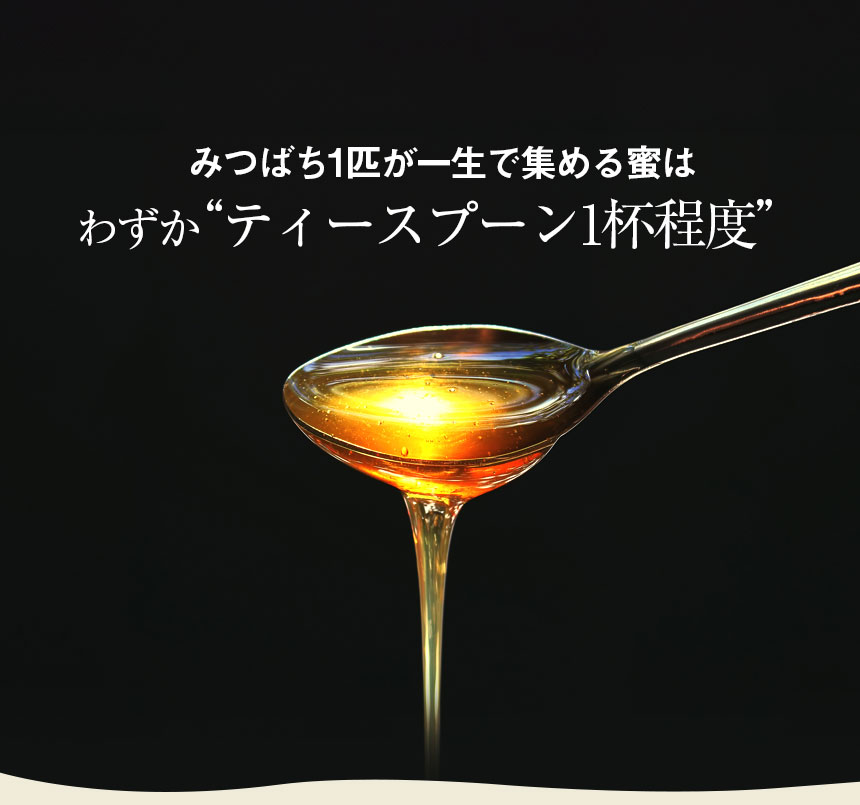 純粋アカシアはちみつ