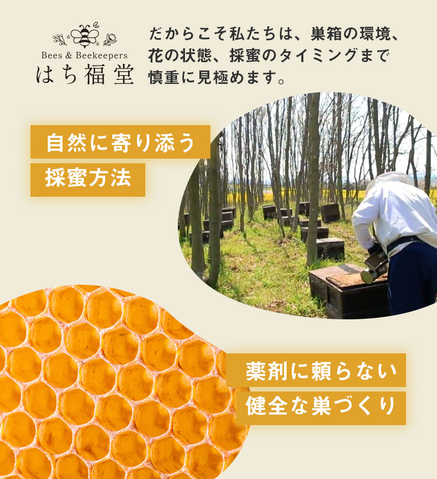 純粋アカシアはちみつ