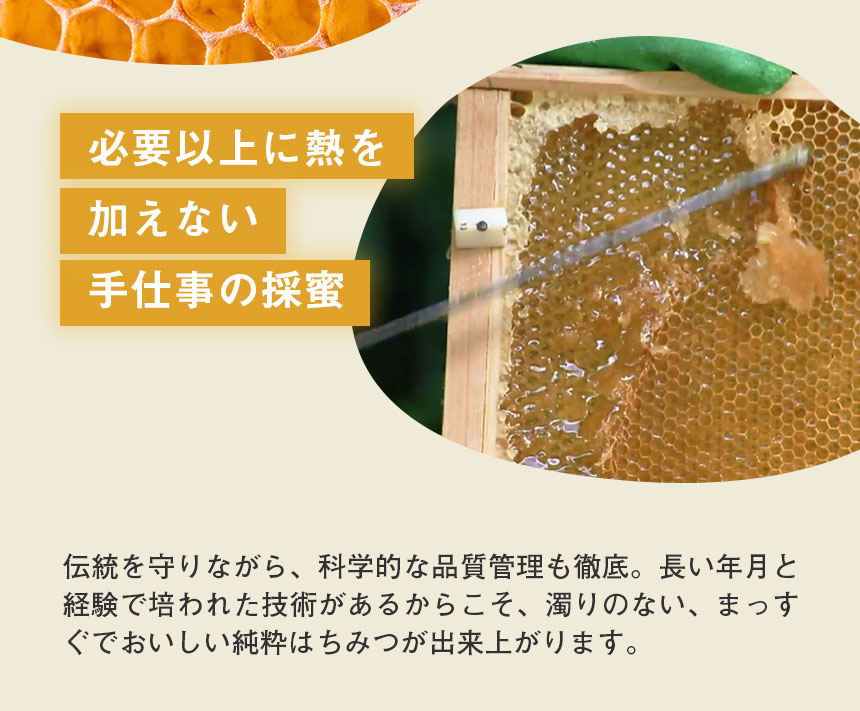純粋アカシアはちみつ