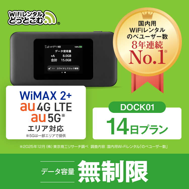 NEC ポケットwifi レンタル 14日 無制限 5G レンタルwifi wifi
