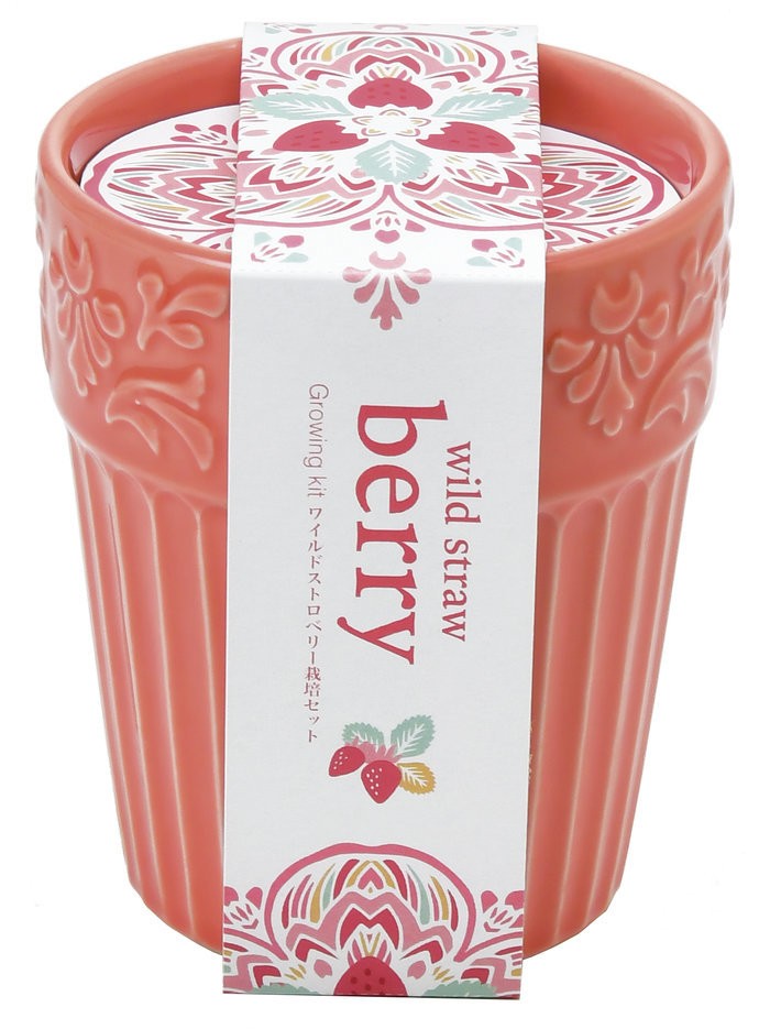 聖新陶芸 GD-90401 ボタニカルポット ワイルドストロベリー 観葉植物