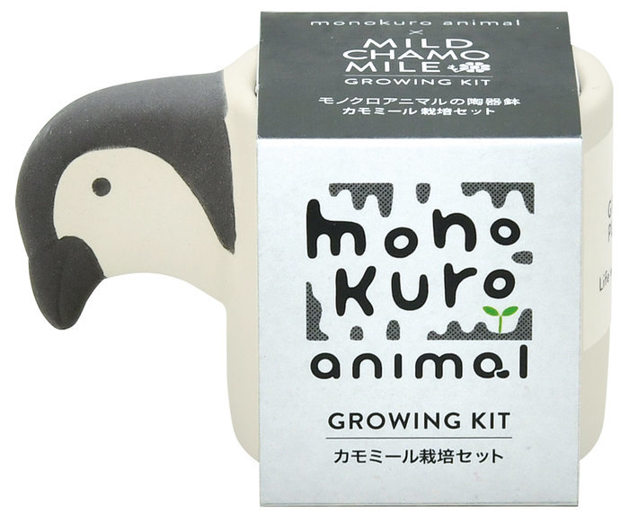 聖新陶芸 モノクロアニマル ペンギン カモミール GD-100704 栽培セット
