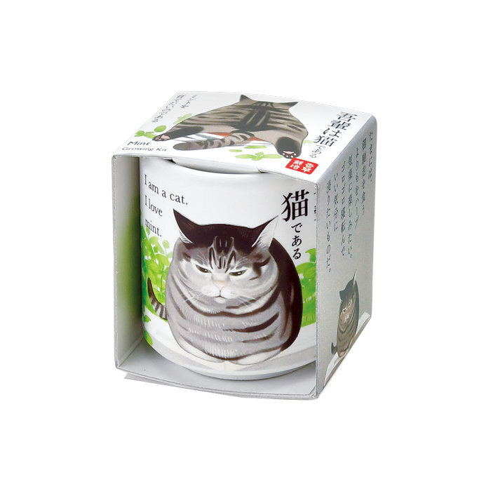 お芽でたおちょこ 吾輩猫 ミント GD-102801 聖新陶芸 栽培セットギフト