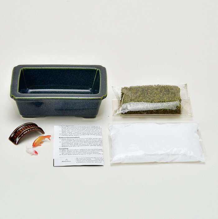 禅庭 ZEN GARDEN 鯉 GD-104702 聖新陶芸 ギフト 栽培セット