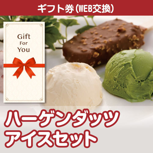 【ギフト封筒】ハーゲンダッツアイスセット 191-99-gfの画像0