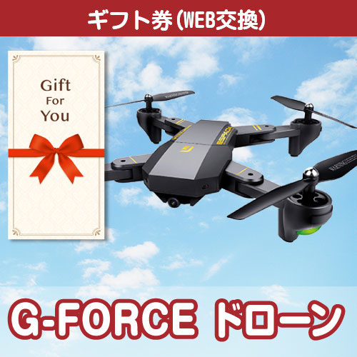 タイムセール中 パネ目 パネル無しギフト引換券 G-FORCE ドローン