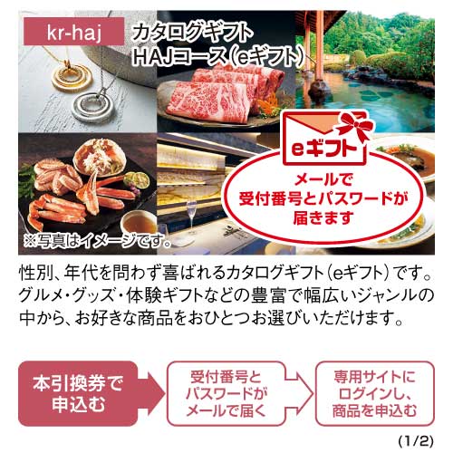 ギフト券 カタログギフト HAJコース(eギフト) パネルなし ギフト封筒 kr-haj-gf 定番のカタログギフト!の画像2