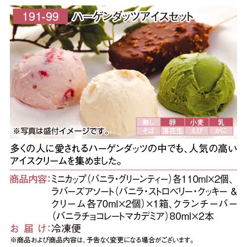 景品ならパネもく！ハーゲンダッツアイスセット（A4パネル付目録）191-99-rbの画像5