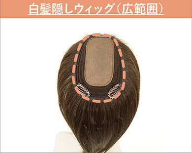 白髪かくしウィッグ（広範囲）のカバー範囲