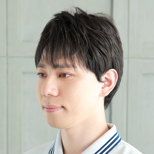 男性 かつら ウィッグ 部分 増毛 白髪 カツラ 薄毛 円形脱毛症 男性用 五分ウィッグ ボリュームショート メンズウィッグ プリシラ（GB-23）の画像