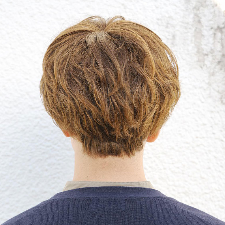 ラパンドアールオムメンズフルウィッグ後ろの画像