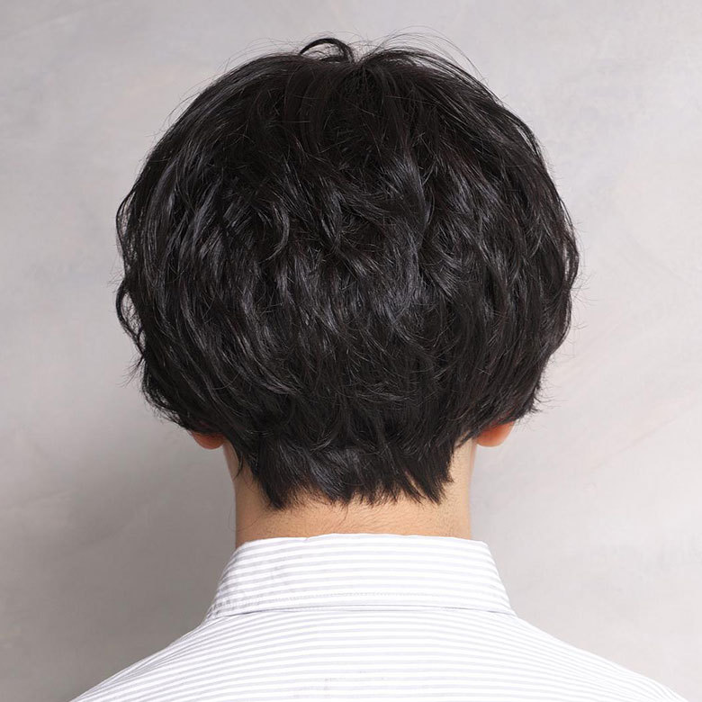 ラパンドアールオムメンズフルウィッグ後ろの画像