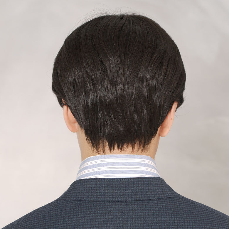 ラパンドアールオムメンズフルウィッグ後ろの画像