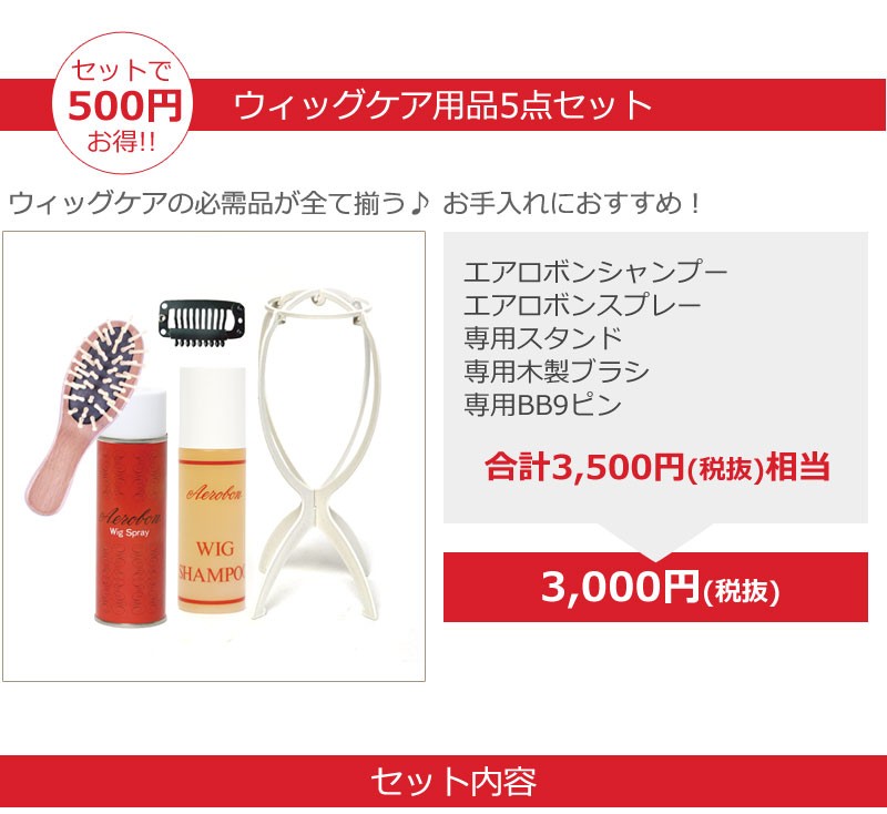 私元気ウィッグケア用品5点セットの内容