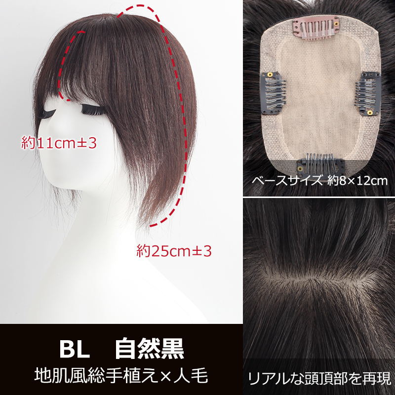 部分ウィッグ 自然 エアリーバング 中面積 8×12cm ふんわり前髪 人毛 総手植え 25cm 白髪かくし つけ毛 トップカバー 女性 白髪カバー 薄毛対策 BHACFDS812の画像