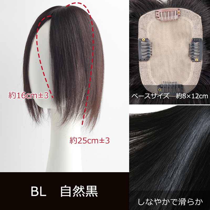 高級 若見え レミーヘア 中面積 8×12cm 部分ウィッグ 人毛 ヘアピース 白髪隠し 自然 通気性 分け目自由 高品質 総手植え 25cm 白髪かくし 私元気BHADBS812-25の画像