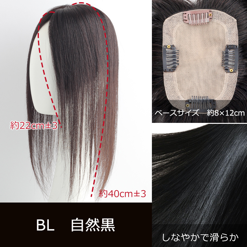 高級 若見え レミーヘア 中面積 8×12cm 部分ウィッグ 人毛 ヘアピース 白髪隠し 自然 通気性 分け目自由 高品質 総手植え 40cm 白髪かくし 私元気BHADBS812-40の画像