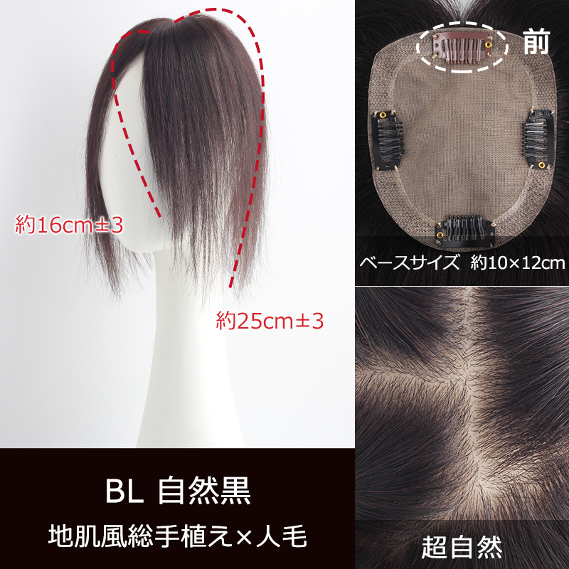 部分ウィッグ 全国カット 返品交換OK 大面積 10×12cm 自然 通気性 分け目自由 人毛 総手植え 白髪かくし 25cm 薄毛 トップカバー 頭頂部 私元気 BHADS1012-25の画像