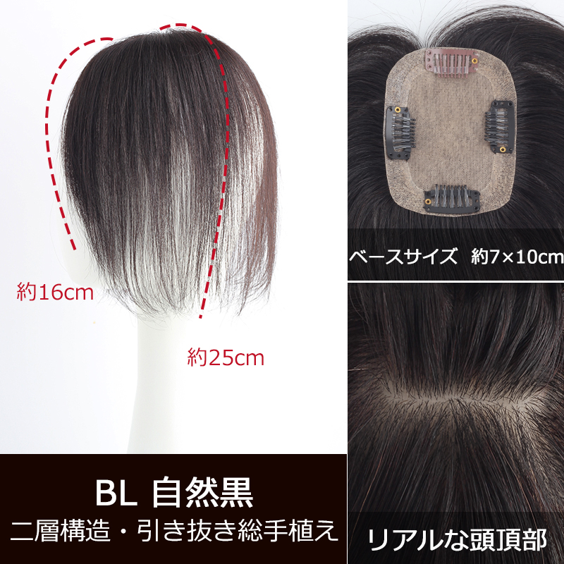 私元気 部分ウィッグ 全国カット 返品交換OK 中小面積 7×10cm