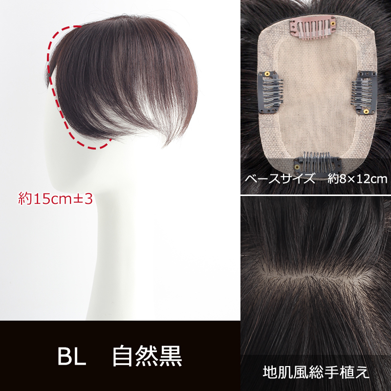 私元気ウィッグ 分け目タイプ 25cm 公式】私元気ウィッグ専門店 | 総手植え 通気性 人毛 【25cm】 部分