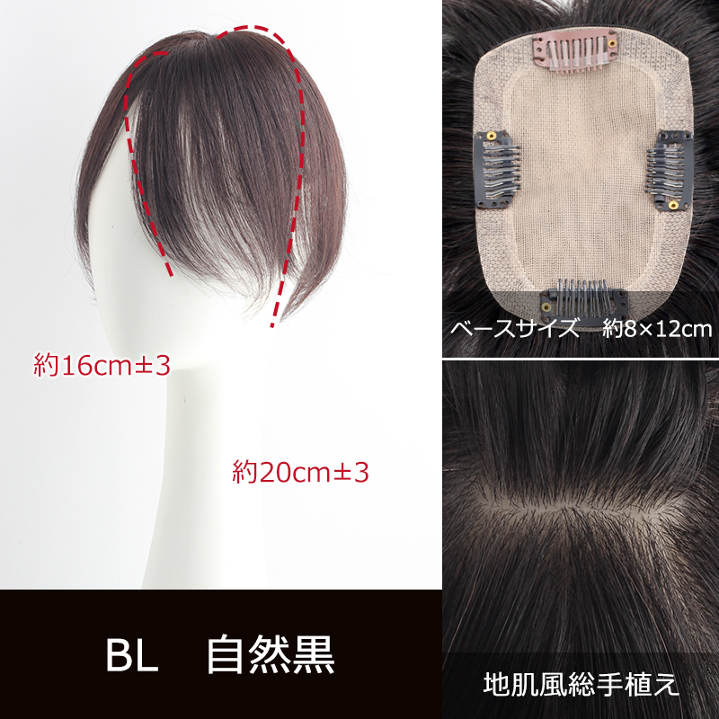 私元気 部分ウィッグ 全国カット 返品交換OK 中面積 8×12cm 自然 通気