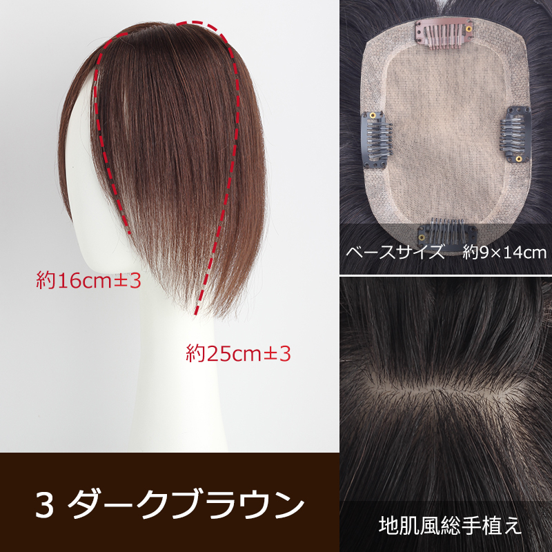 私元気 部分ウィッグ 全国カット 返品交換OK 大面積 9×14cm 自然 通気