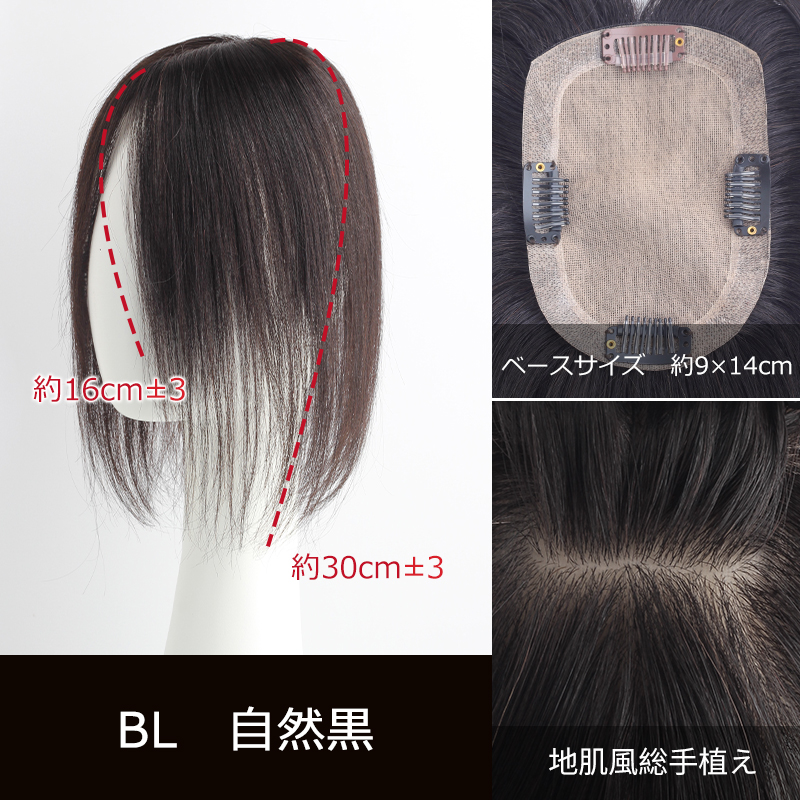 私元気 部分ウィッグ 全国カット 返品交換OK 大面積 9×14cm 自然