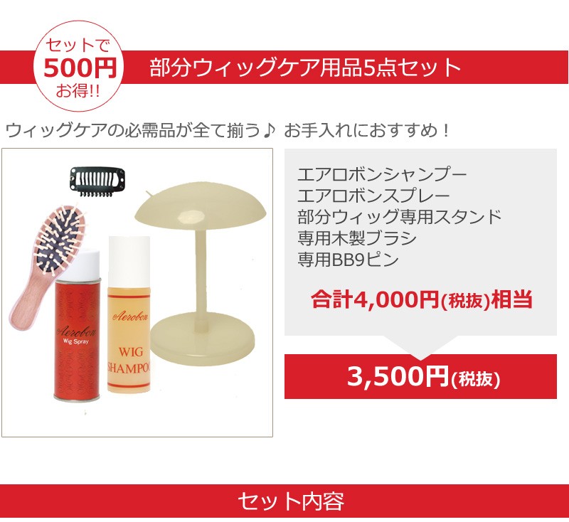 私元気ウィッグケア用品5点セットの内容