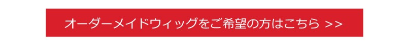 オーダーメイド案内