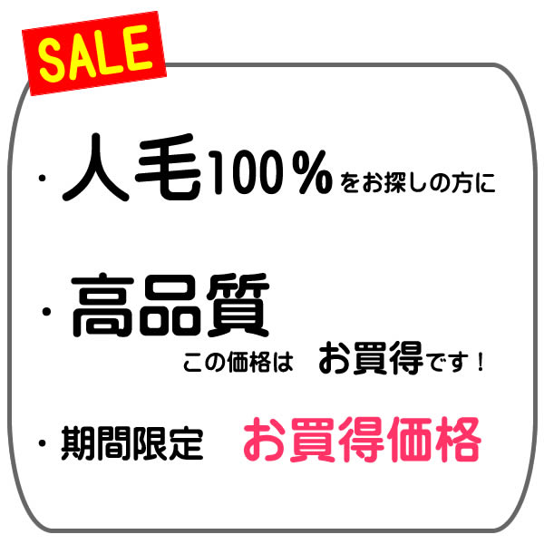 オカン50 週末お値下げ❣️人毛フルウィッグ ウィッグ 医療用 人毛 ショート かつら フルウィッグ ミセス オール