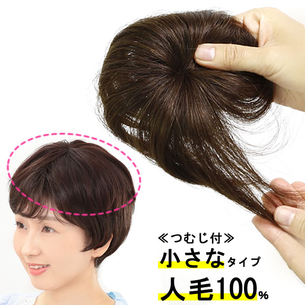 ウィッグ 部分ウィッグ ヘアピース 人毛100％ 円形脱毛症 かつら 薄毛 