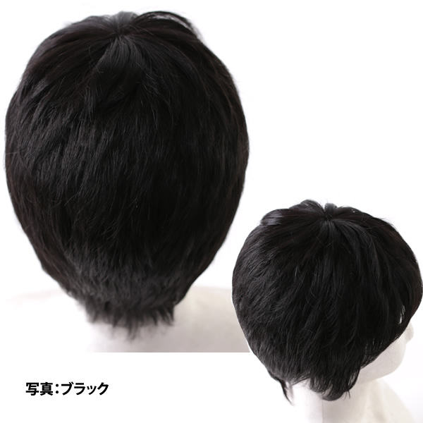 ウィッグ 医療用 男性 白髪 医療用ウィッグ 送料無料 フルウィッグ