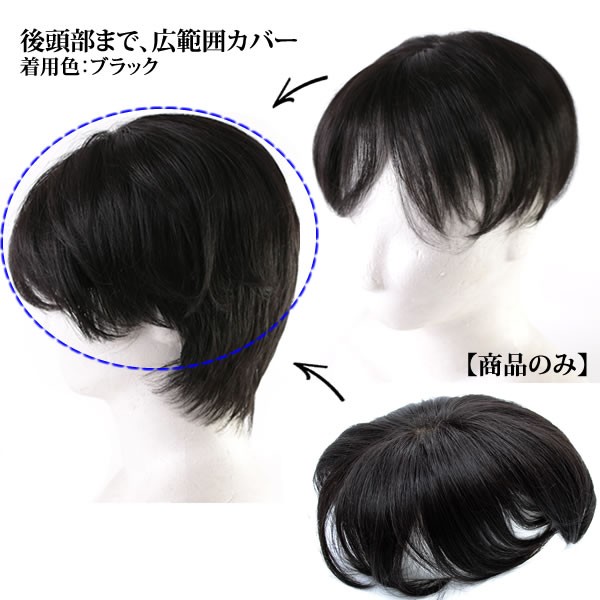 ウィッグ ヘアピース 男性用 部分ウィッグ かつら 送料無料 ストレート 